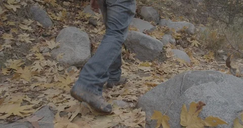 Man is hiking in the forest Stock Footage 119411474