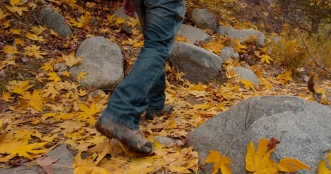 Man is hiking in the forest Stock Footage 119411694