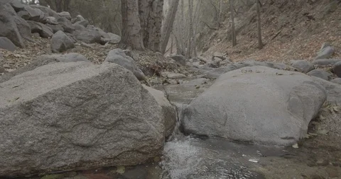 Man is hiking in the forest Stock Footage 119412434