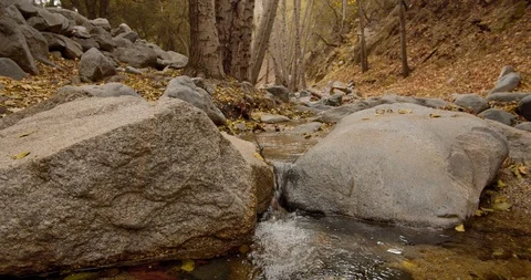 Man is hiking in the forest Stock Footage 119412502