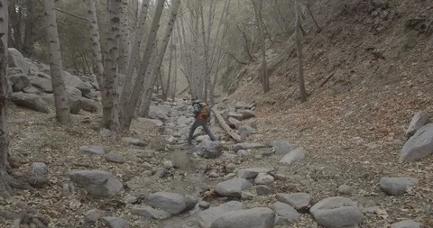 Man is hiking in the forest Stock Footage 119412518