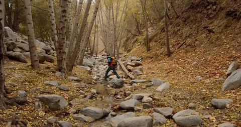 Man is hiking in the forest Stock Footage 119412968