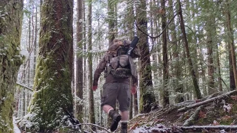 Man hiking in the forest Stock Footage 172566664