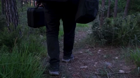 Man hiking forest Stock Footage 238405761