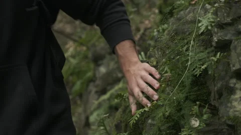 Man hiking in the forest, help with hand Stock Footage 243389171