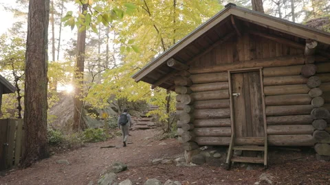 Man hiking in forest with log cabin in the foreground, autumn trees, forest hike Stock Footage 220602846
