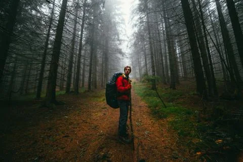 Man hiking in forest Stock Photos