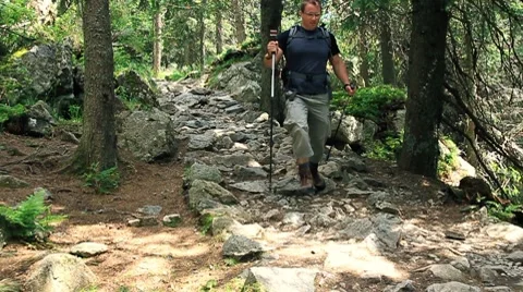 Man hiking in the forest, slow motion Stock Footage 7907696