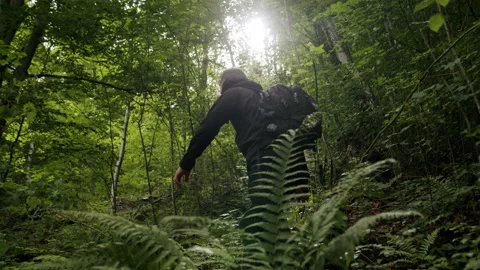 Man hiking in the forest in slow-motion, sun shining through leaves. Stock Footage 234553774
