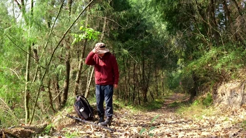 A man hiking in the forest stops for a short rest Stock Footage 329549527