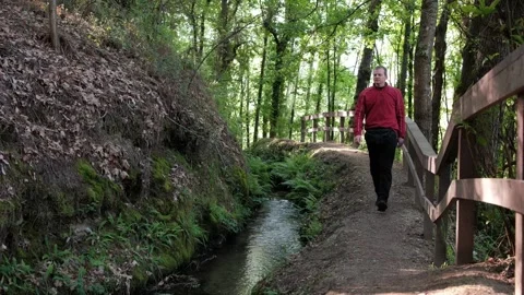 Man hiking on a forest trail next to a creek Stock Footage 344531120