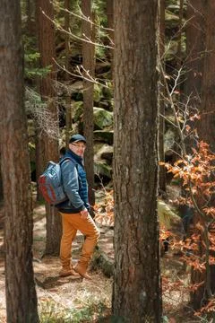 Man Hiking on Forest Trail with Tree Roots Stock Photos