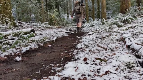 Man hiking in the forest version 2 Stock Footage 172566333