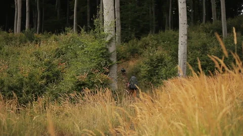 Man hiking up the hill Stock Footage 61966795