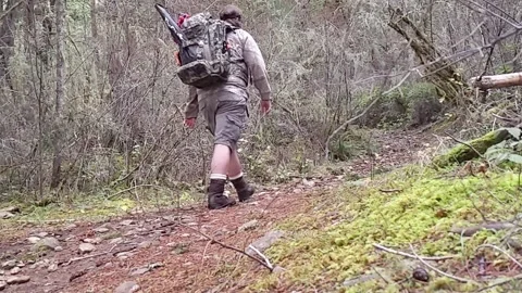 Man Hiking Up Hill on a Park Path Stock Footage 169066191