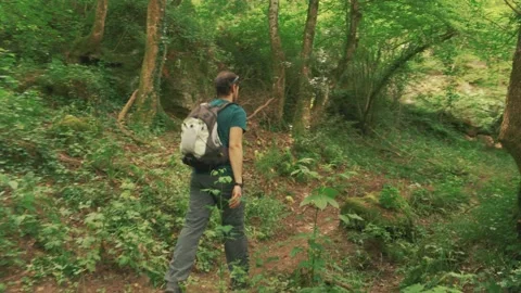 A man hiking in the middle of the forest Stock Footage 131175266