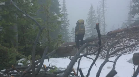 Man hiking on mountain in forest Stock Footage 49099518