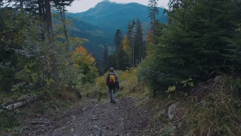Man hiking in the mountain forest Video stock 82828247
