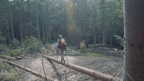Man hiking in the mountain forest Stock Footage 82828894