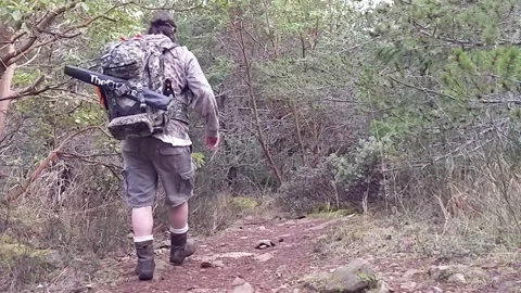 Man hiking on path Stock Footage 169136158