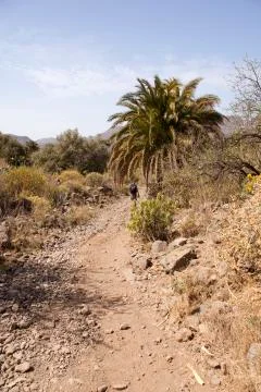 Man hiking Stock-Fotos