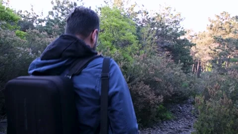 Man hiking in pine forest Stock Footage 237477582