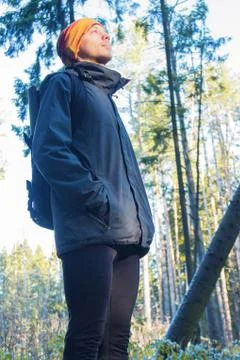 Man hiking in pine forest Stock Photos