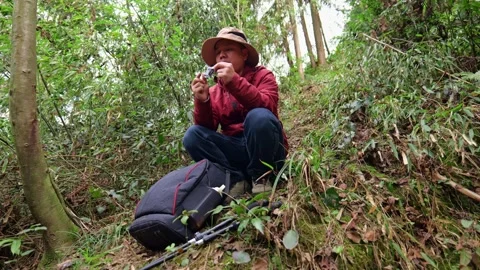 A man hiking in the primeval forest is having a picnic. Stock Footage 329547879