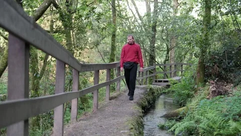 Man hiking on a scenic forest path Stock Footage 344531093