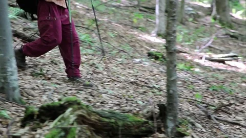 Man with hiking sticks stepping down from hill Stock Footage