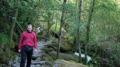 Man hiking a stone path in a green forest Stock Footage 344531080