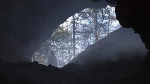Man Hiking Through Dense Forest Mountain Path Outdoors Stock Footage 264665205