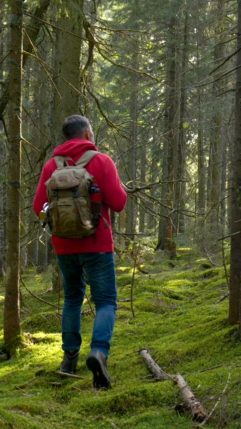Man hiking through dense forest with backpack during outdoor adventure Stockbeeldmateriaal 334333470