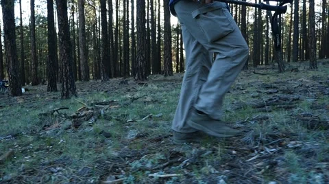 A man hiking through the forest at sunset Stock Footage 64235606