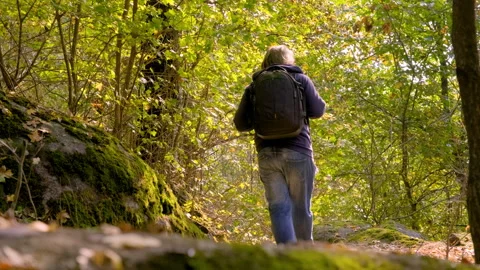 Man Hiking Through Forest Undergrowth in Autumn Stock Footage 300893003
