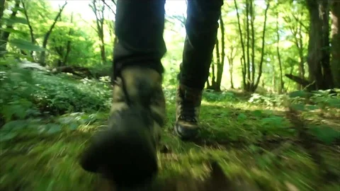 Man Hiking through Nature. Low Angle Boots Walking through Forest Woodland Stock Footage 111236341