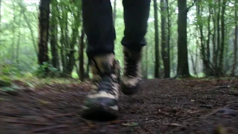 Man Hiking through Nature. Low Angle Boots Walking through Foggy Forest Woodland Stock-Footage 111236997