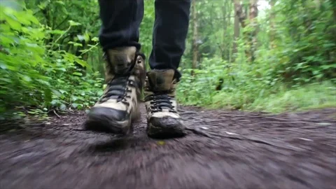 Man Hiking through Nature. Low Angle Boots Walking through Foggy Forest Woodland Stock Footage 111237017