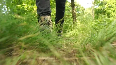 Man Hiking through Nature. Low Angle Boots Walking through Forest Woodland Stock Footage 111237277