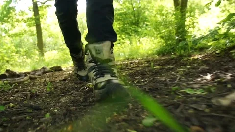 Man Hiking through Nature. Low Angle Boots Walking through Forest Woodland Stock Footage 111237341