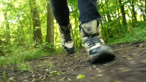 Man Hiking through Nature. Low Angle Boots Walking through Forest Woodland Stock Footage 111237495