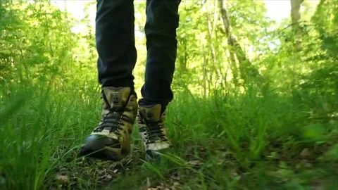 Man Hiking through Nature. Low Angle Boots Walking through Forest Woodland Stock Footage 111237505