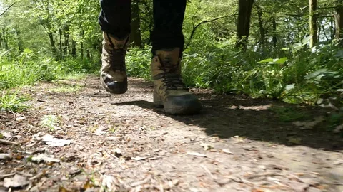 Man Hiking through Nature. Low Angle Boots Walking through Forest Stock Footage 112633992