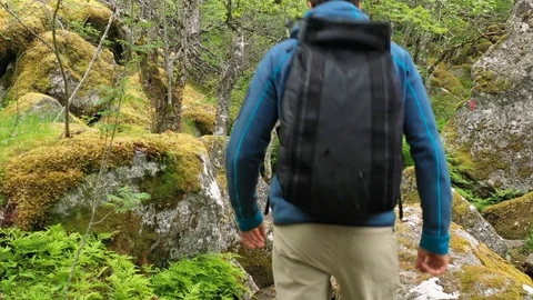 Man hiking through a rain forest Stock Footage 111811504