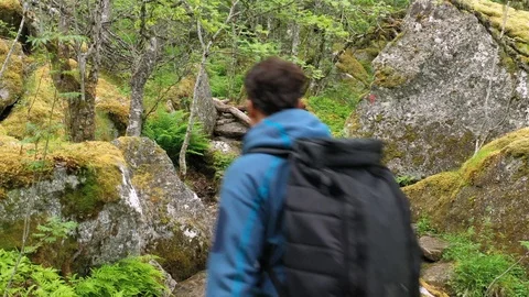 Man hiking through a rain forest Stock Footage 111813791