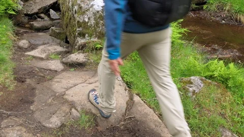 Man hiking through a rain forest Stock Footage 111814068