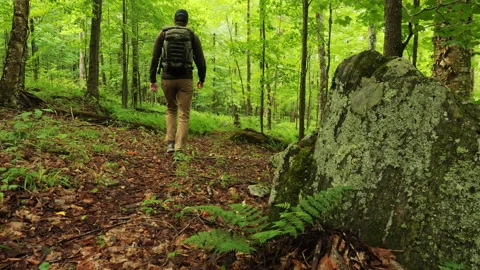 Man hiking through the woods with a backpack Stock Footage 159666445