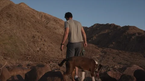 Man Hiking on Trail Heading Toward Desert Mountains with Dog Stock Footage