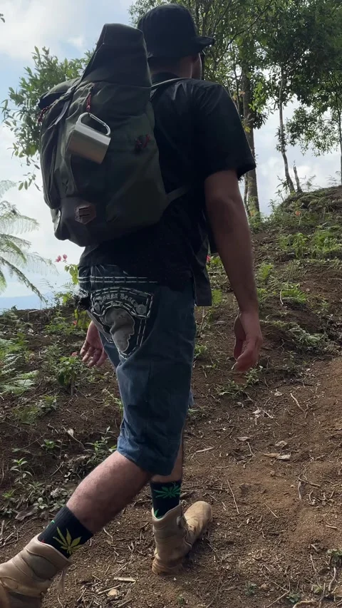 Man Hiking Uphill on Mountain Forest Trail Vertical Shot Stock Footage 323911672