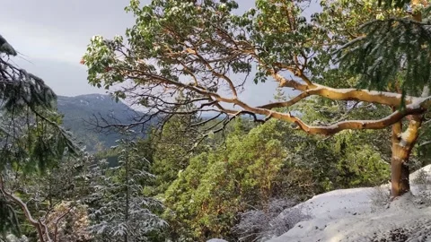 Man hiking up to the view Vídeo Stock 172566169